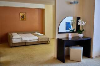 Отель Central Plaza Hotel Пьятра-Нямц Номер-студио с кроватью размера "king-size" и диван-кроватью-1